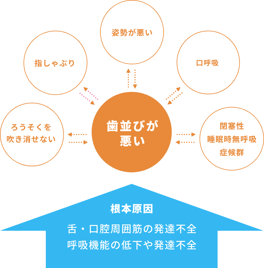【美品】成功する小児のための機能矯正 成功する小児のための機能矯正 - クインテッセンス出版
