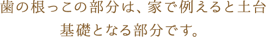 歯の根っこの部分は、家で例えると土台基礎となる部分です。